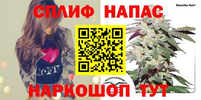 a pvp Бугуруслан